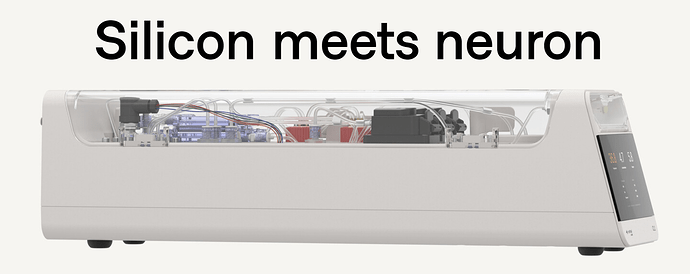 Pasted image 20250313221606.png